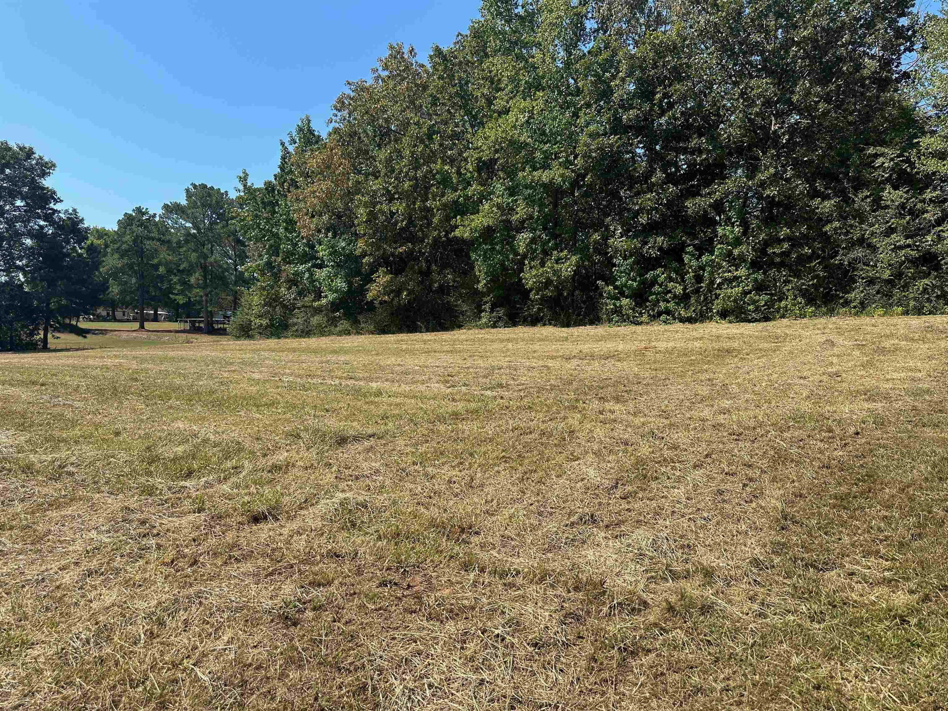 0 Henderson Road Sardis, TN 38371 - Photo 6 of 21 a view of empty field with trees in background