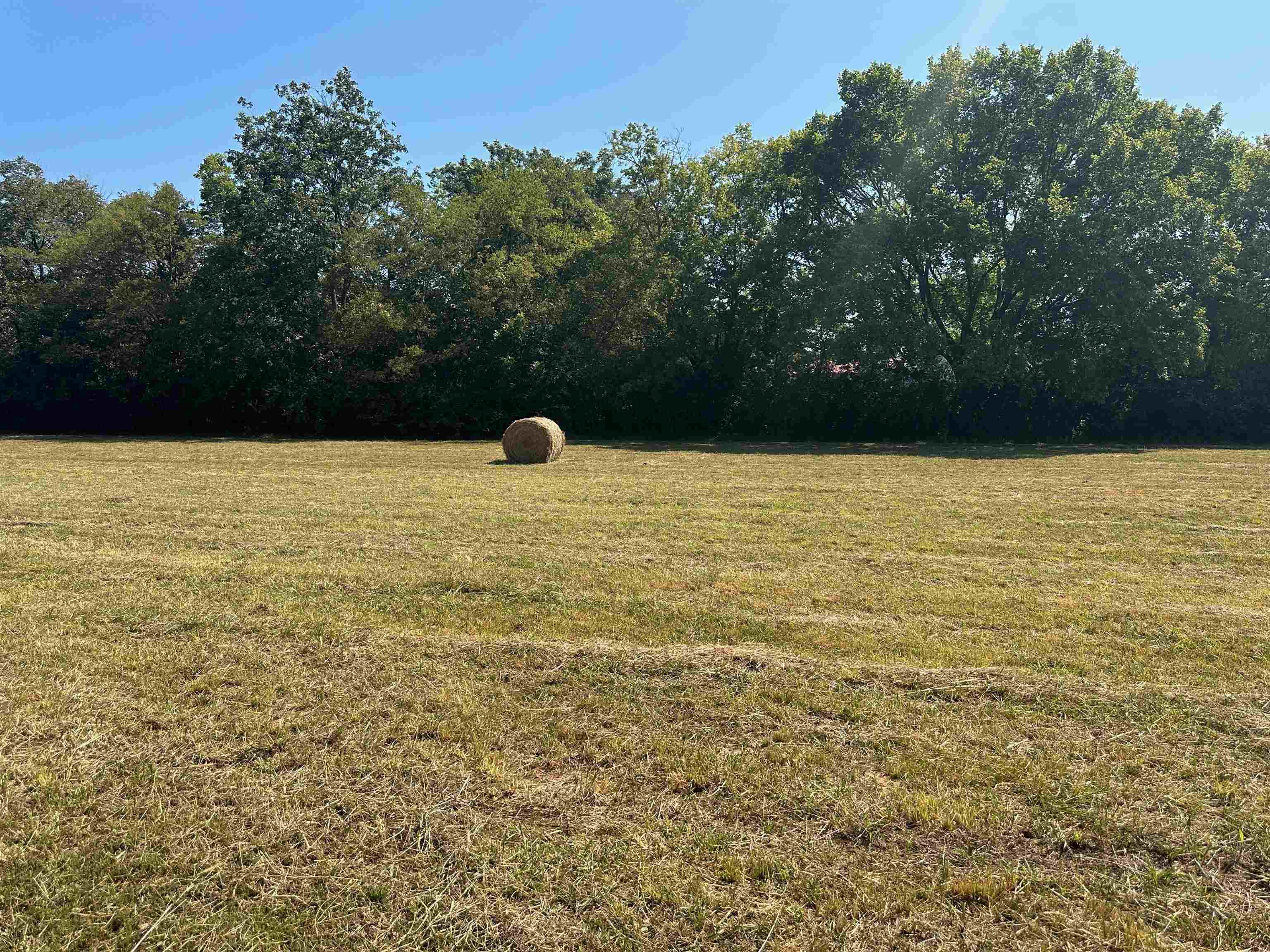 0 Henderson Road Sardis, TN 38371 - Photo 8 of 21 a view of an ocean