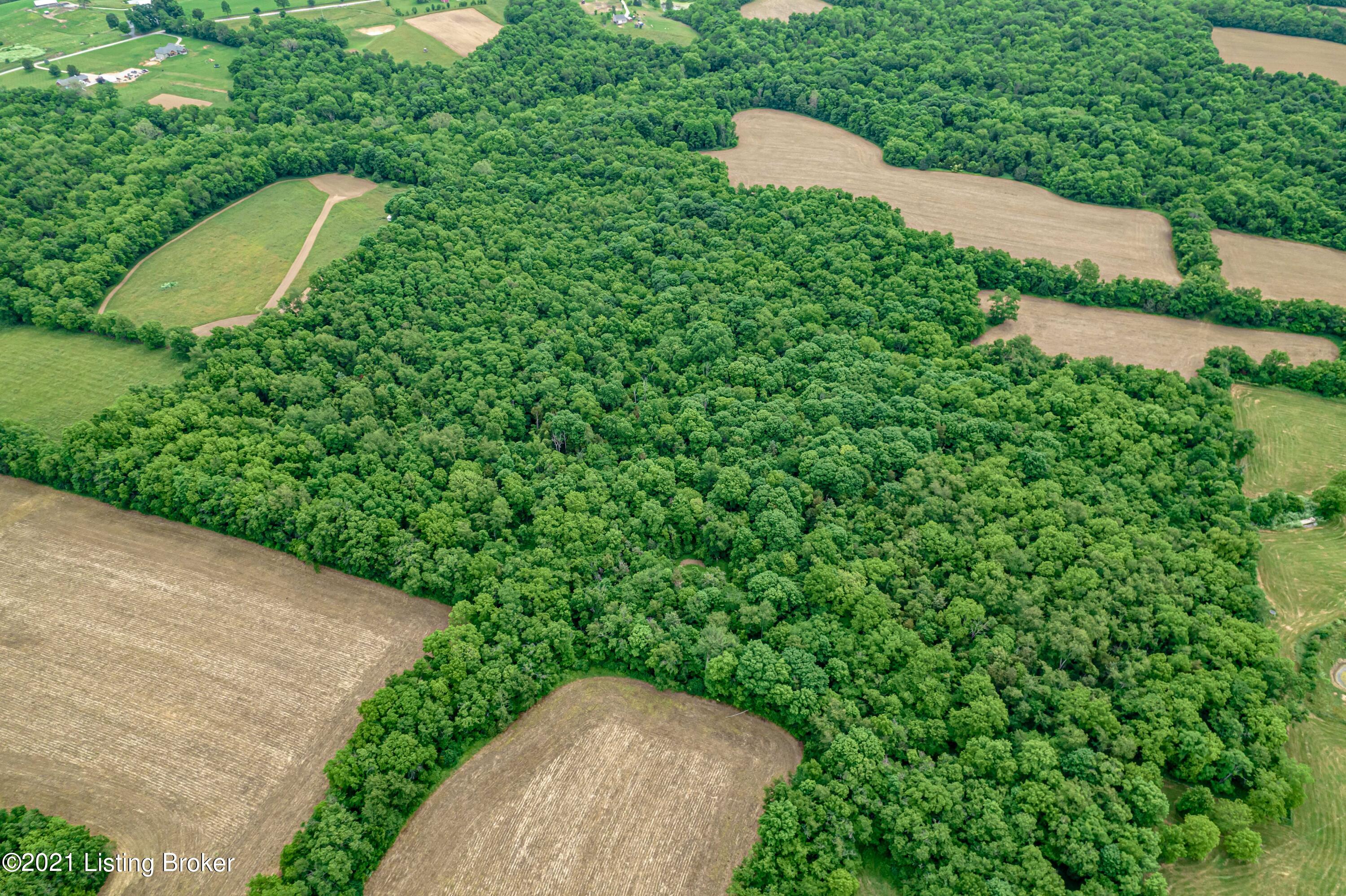 3900 Bagdad Road Bagdad, KY 40003 - Photo 15 of 36 DJI_0915