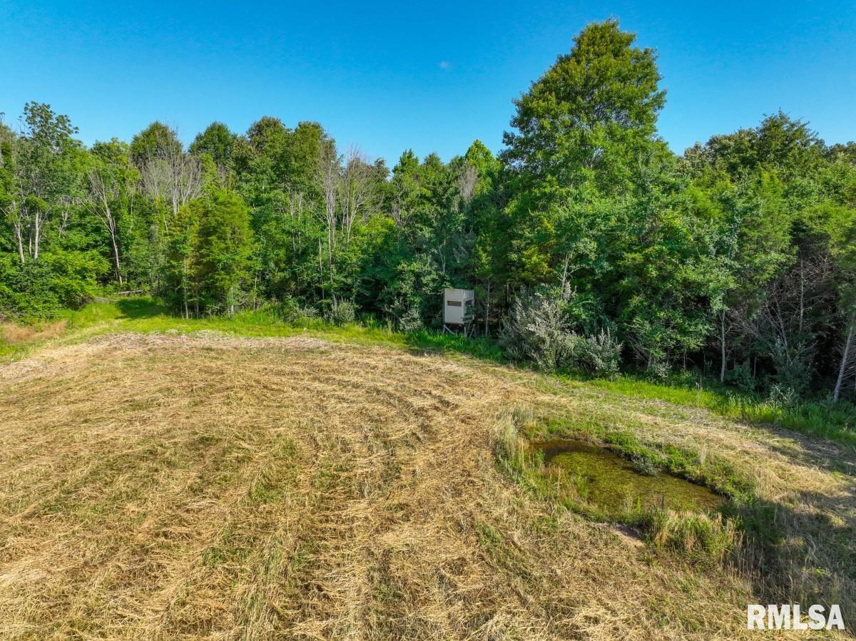 0 Tom Dick Hill Road Stonefort, IL 62987 - Photo 26 of 62