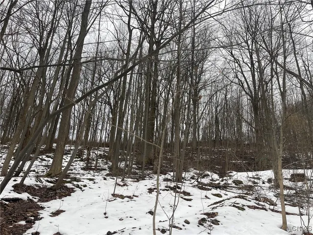 $147,000 | 10673 Highway 34, Cato, NY 13166