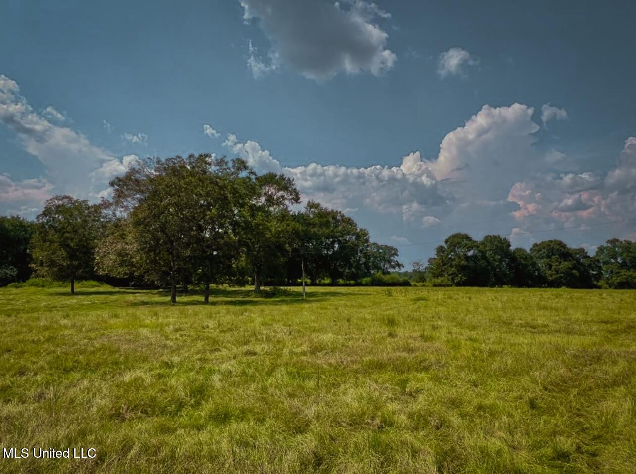 Thomas School Road Lumberton, MS 39455 - Photo 2 of 5 shared2