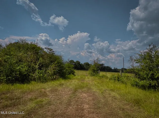 $150,000 | Thomas School Road, Lumberton, MS 39455