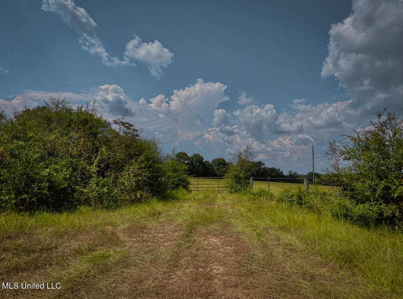 Thomas School Road Lumberton, MS 39455 - Photo 5 of 5 shared5