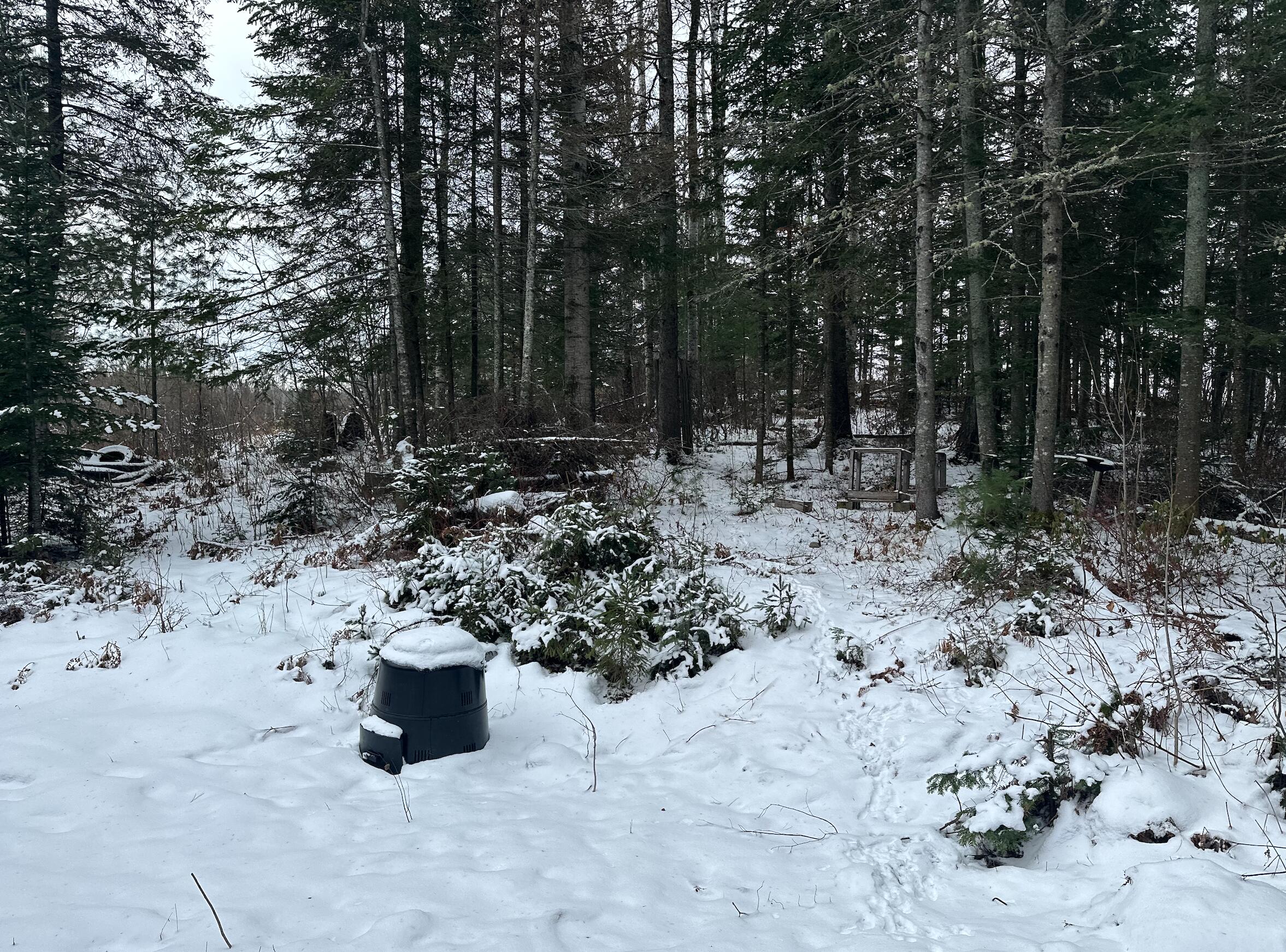 25 South Perley Brook Road Fort Kent, ME 04743 - Photo 6 of 41 Screen Shot 2024-02-11 at 3.57.16 PM