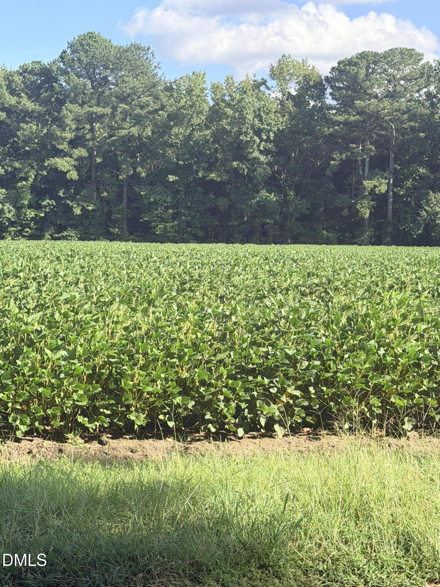 0 Myrtle Road Selma, NC 27576 - Photo 2 of 3 IMG_1631