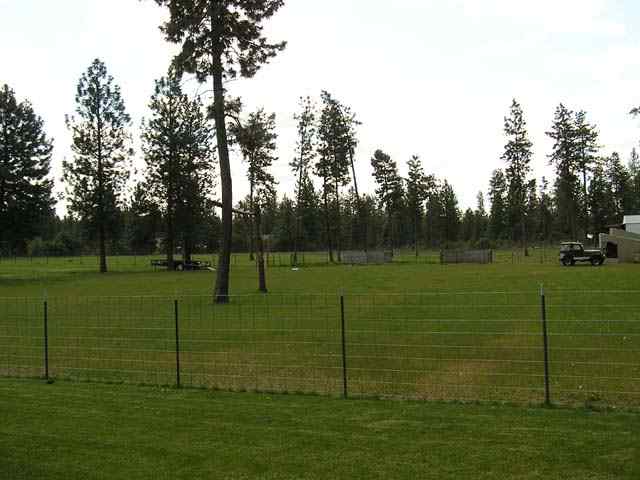 3508 East Pineland Road Colbert, WA 99005 - Photo 7 of 9