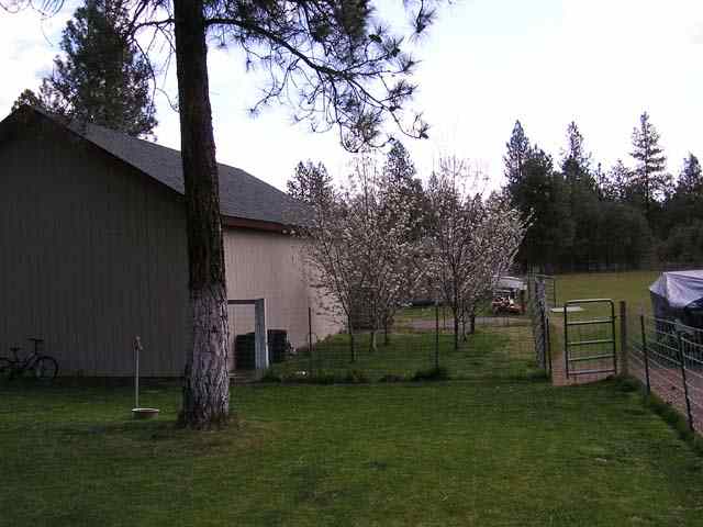 3508 East Pineland Road Colbert, WA 99005 - Photo 8 of 9