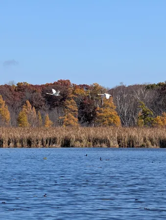 $999,990 | 17265 Ward Lake Drive Northwest, Andover, MN 55304