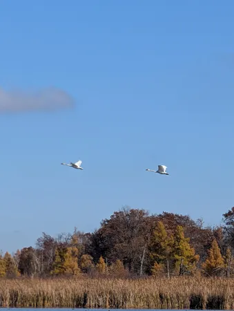 $999,990 | 17265 Ward Lake Drive Northwest, Andover, MN 55304