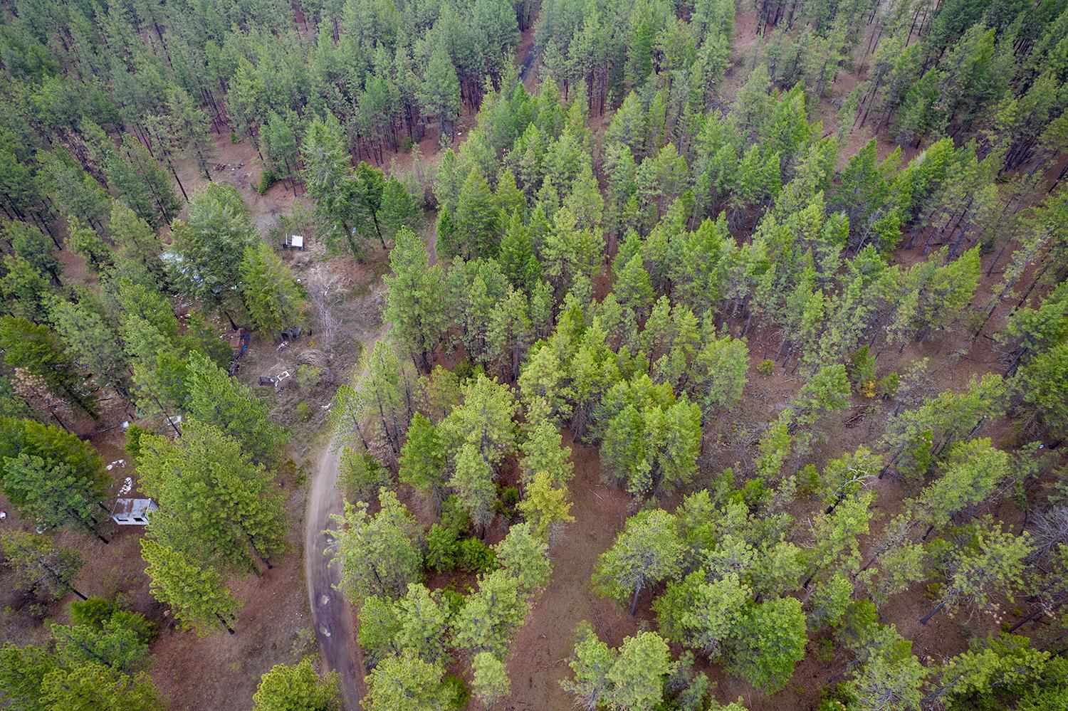 15817 Coyote Ridge Lane Ford, WA 99013 - Photo 2 of 13