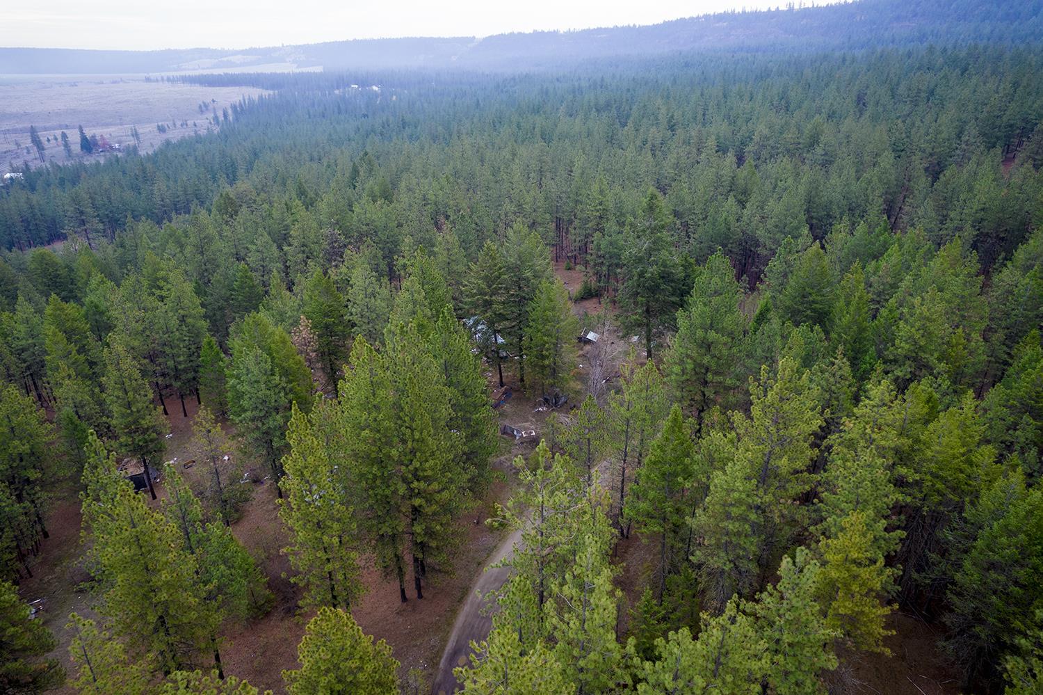 15817 Coyote Ridge Lane Ford, WA 99013 - Photo 3 of 13