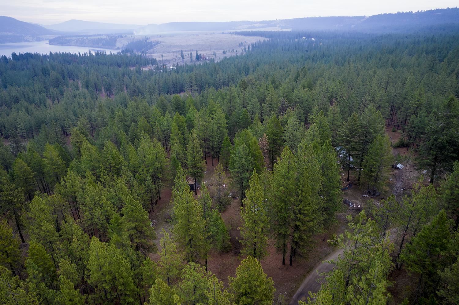 15817 Coyote Ridge Lane Ford, WA 99013 - Photo 4 of 13