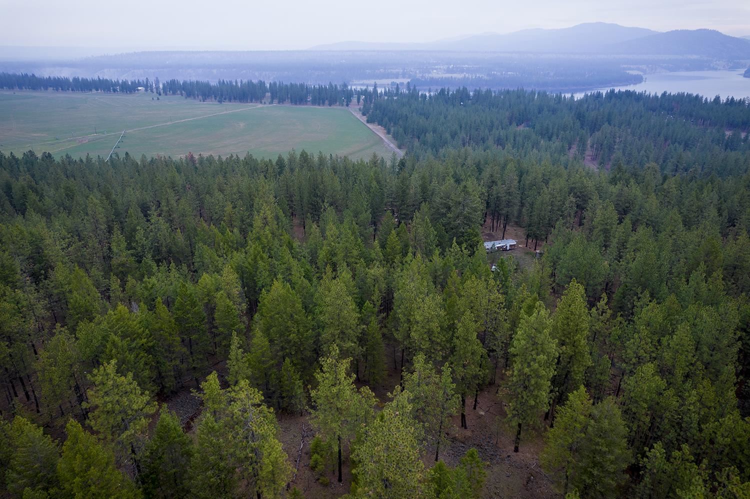 15817 Coyote Ridge Lane Ford, WA 99013 - Photo 5 of 13