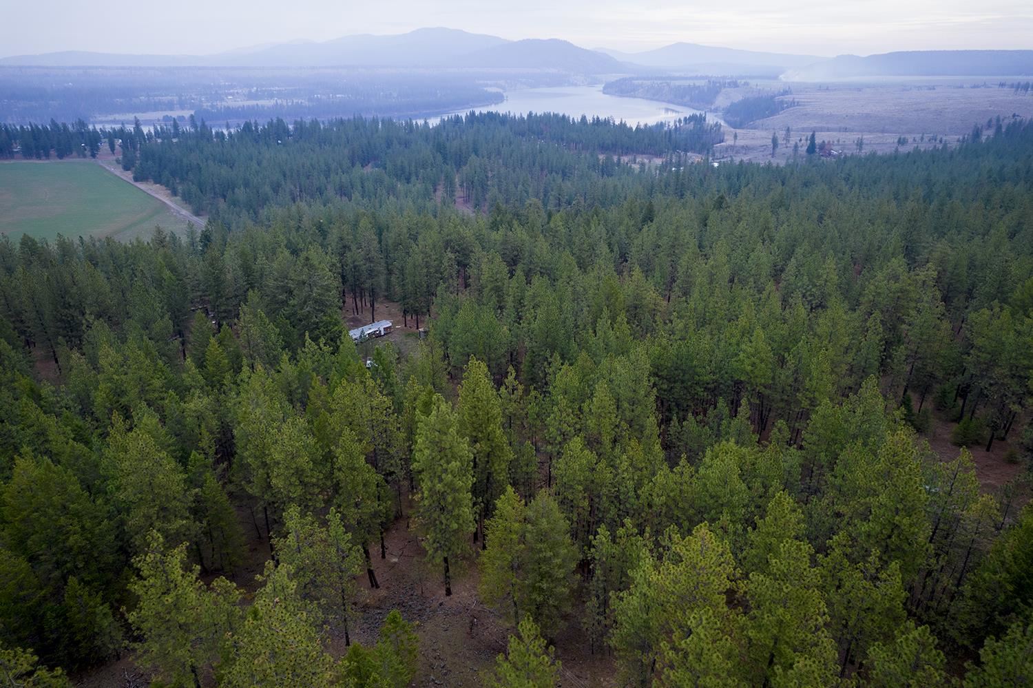 15817 Coyote Ridge Lane Ford, WA 99013 - Photo 6 of 13