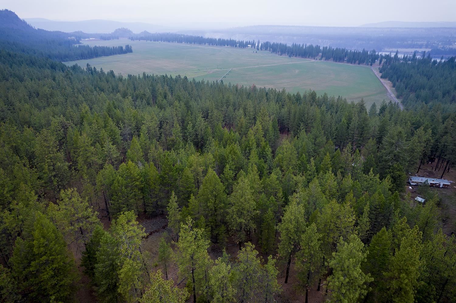 15817 Coyote Ridge Lane Ford, WA 99013 - Photo 7 of 13