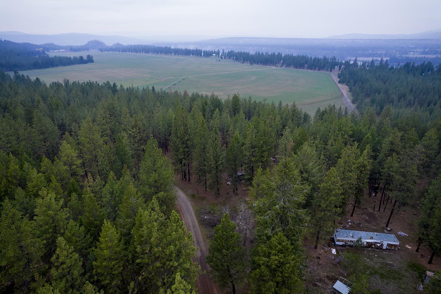 15817 Coyote Ridge Lane Ford, WA 99013 - Photo 8 of 13