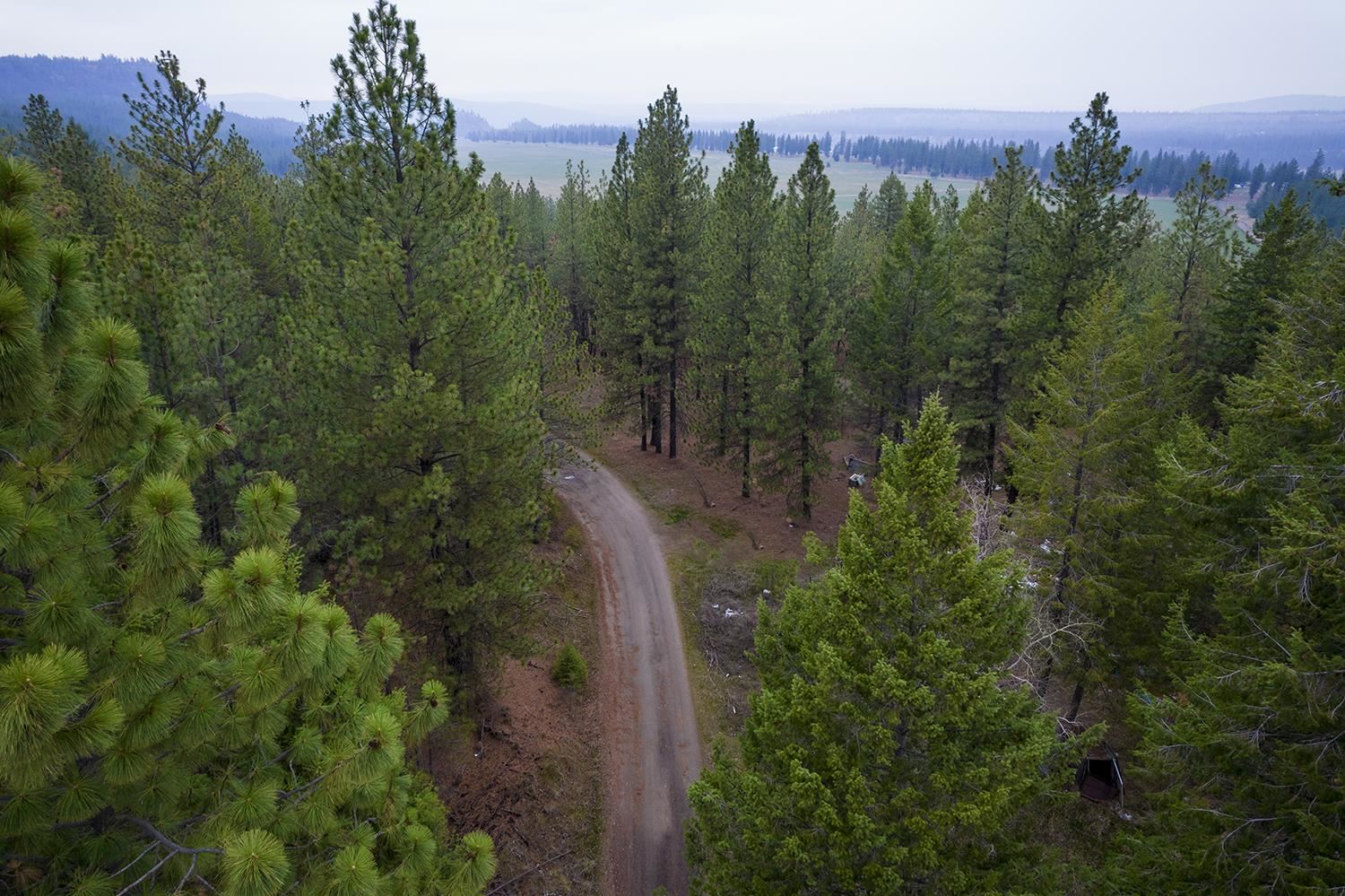 15817 Coyote Ridge Lane Ford, WA 99013 - Photo 9 of 13