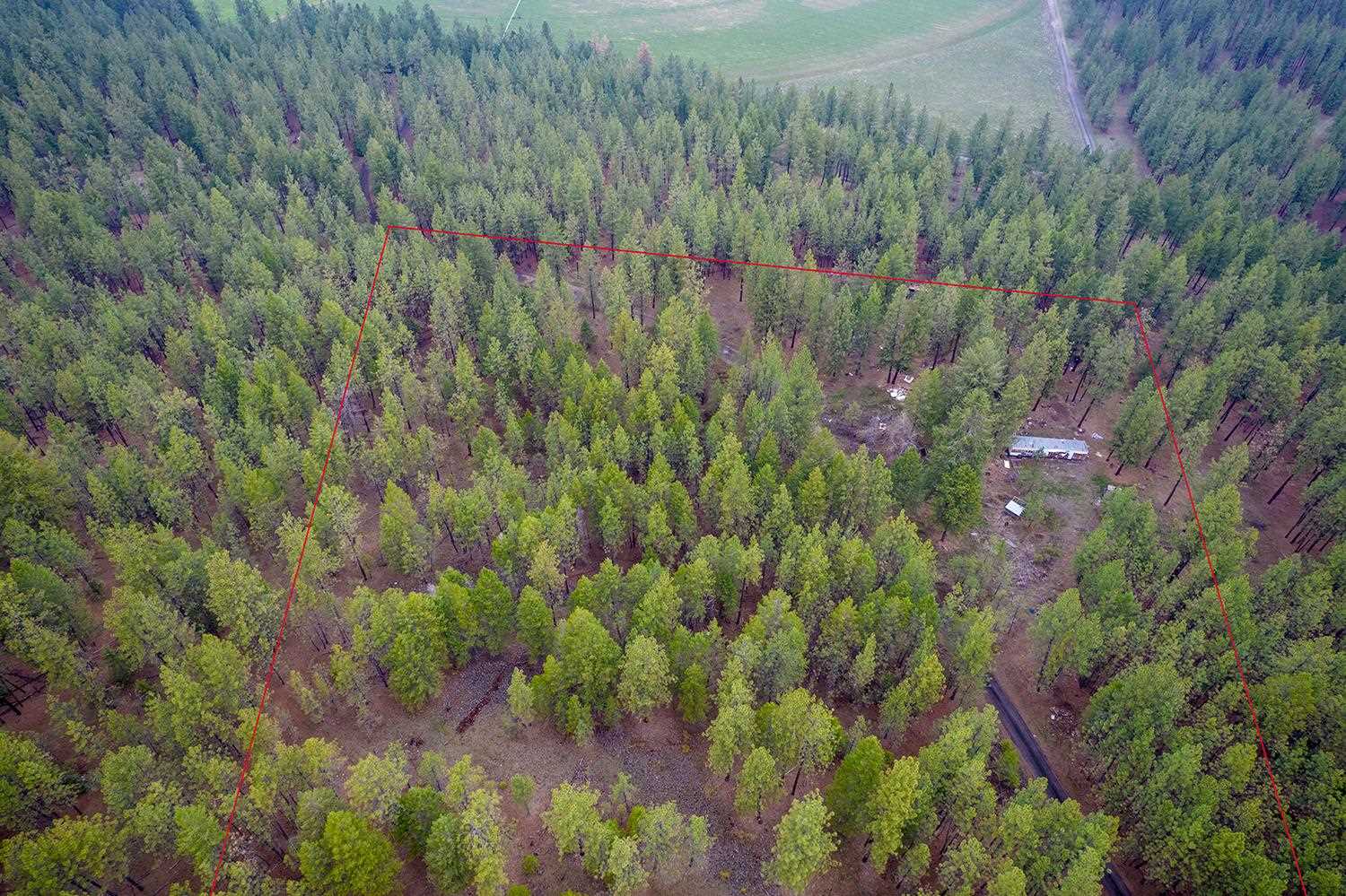 15817 Coyote Ridge Lane Ford, WA 99013 - Photo 10 of 13