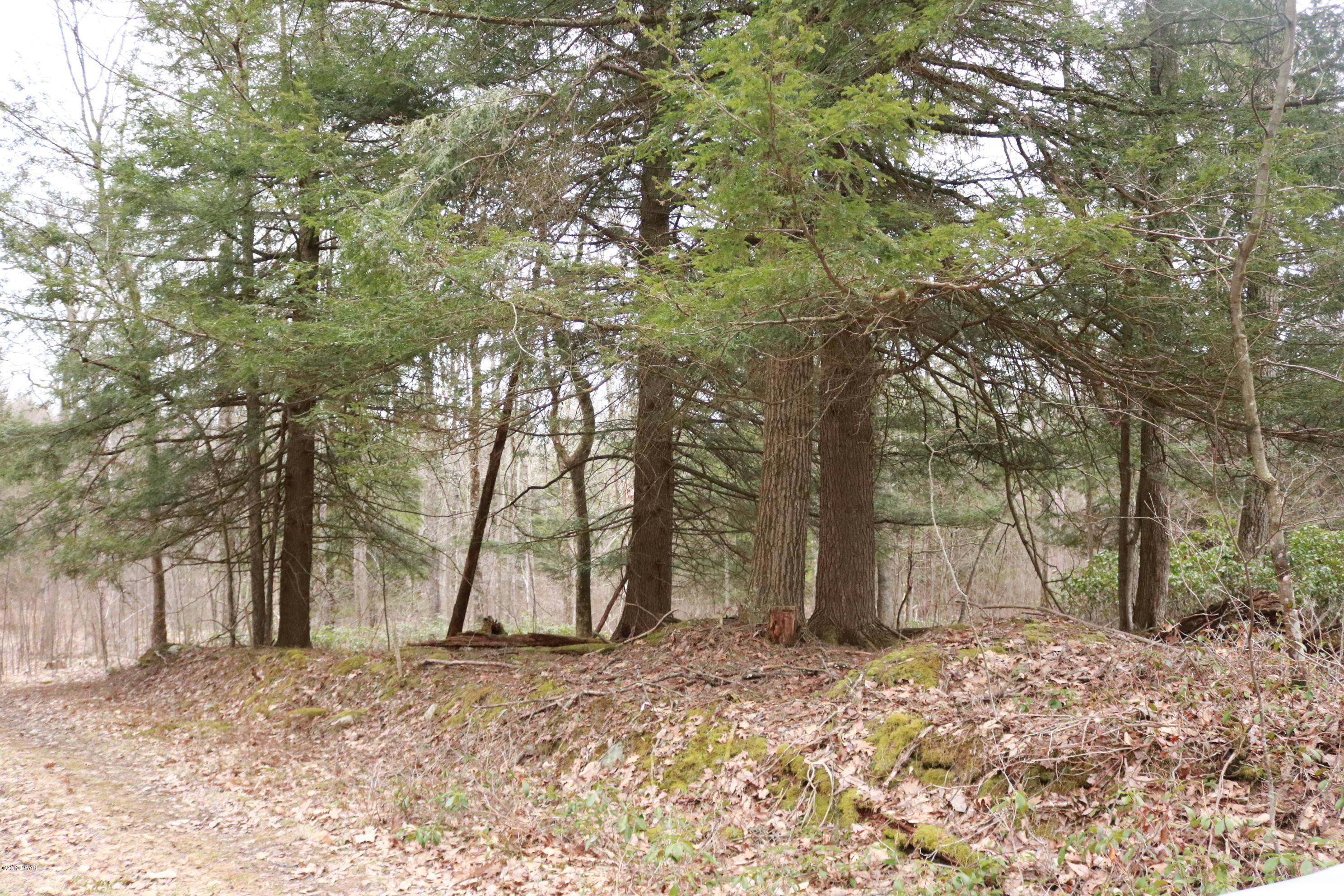Rd Road Hancock, NY 13783 - Photo 2 of 6