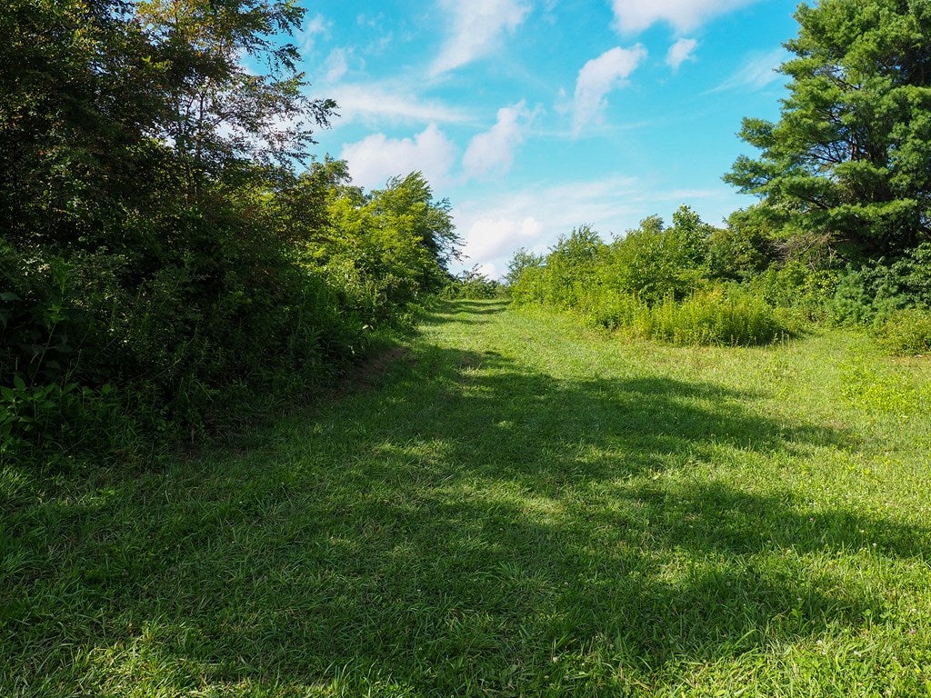 Tbd State Shed Road, Unit 99 Meadows Of Dan, VA 24120 - Photo 8 of 14 Gallery Image 8