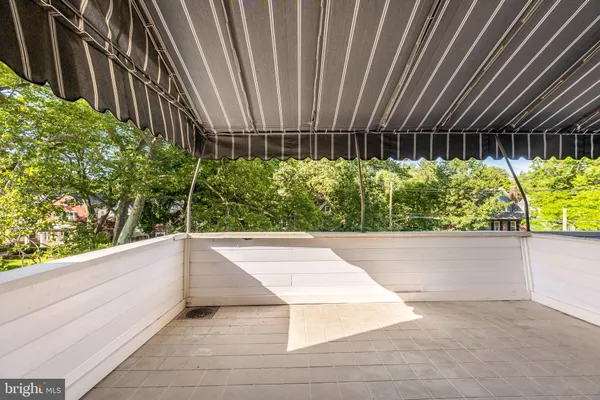 a view of backyard with plants