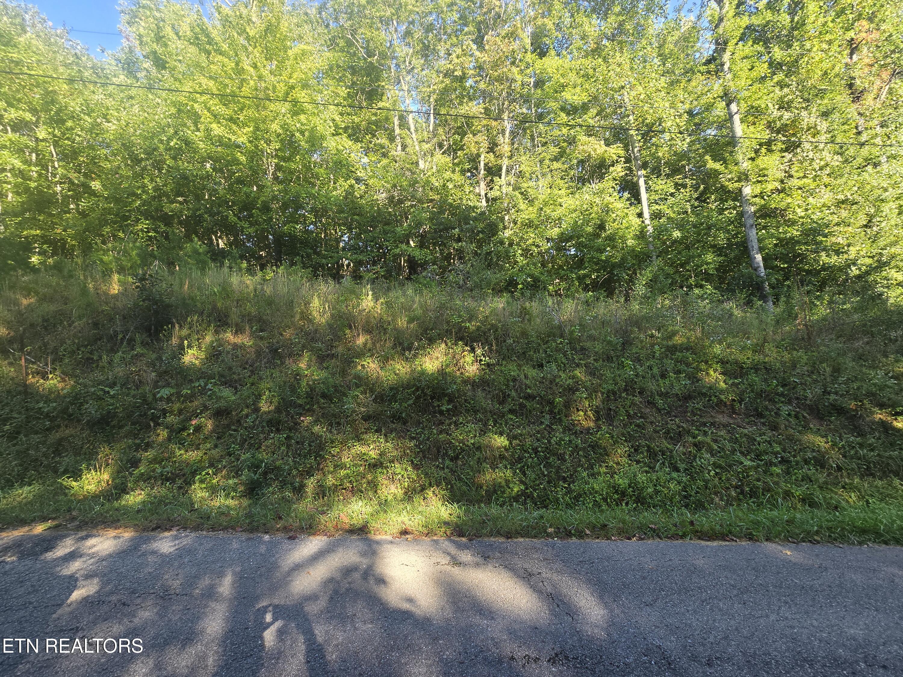 Lot 27-28 Summit Drive Oneida, TN 37841 - Photo 2 of 7 20250908_093215