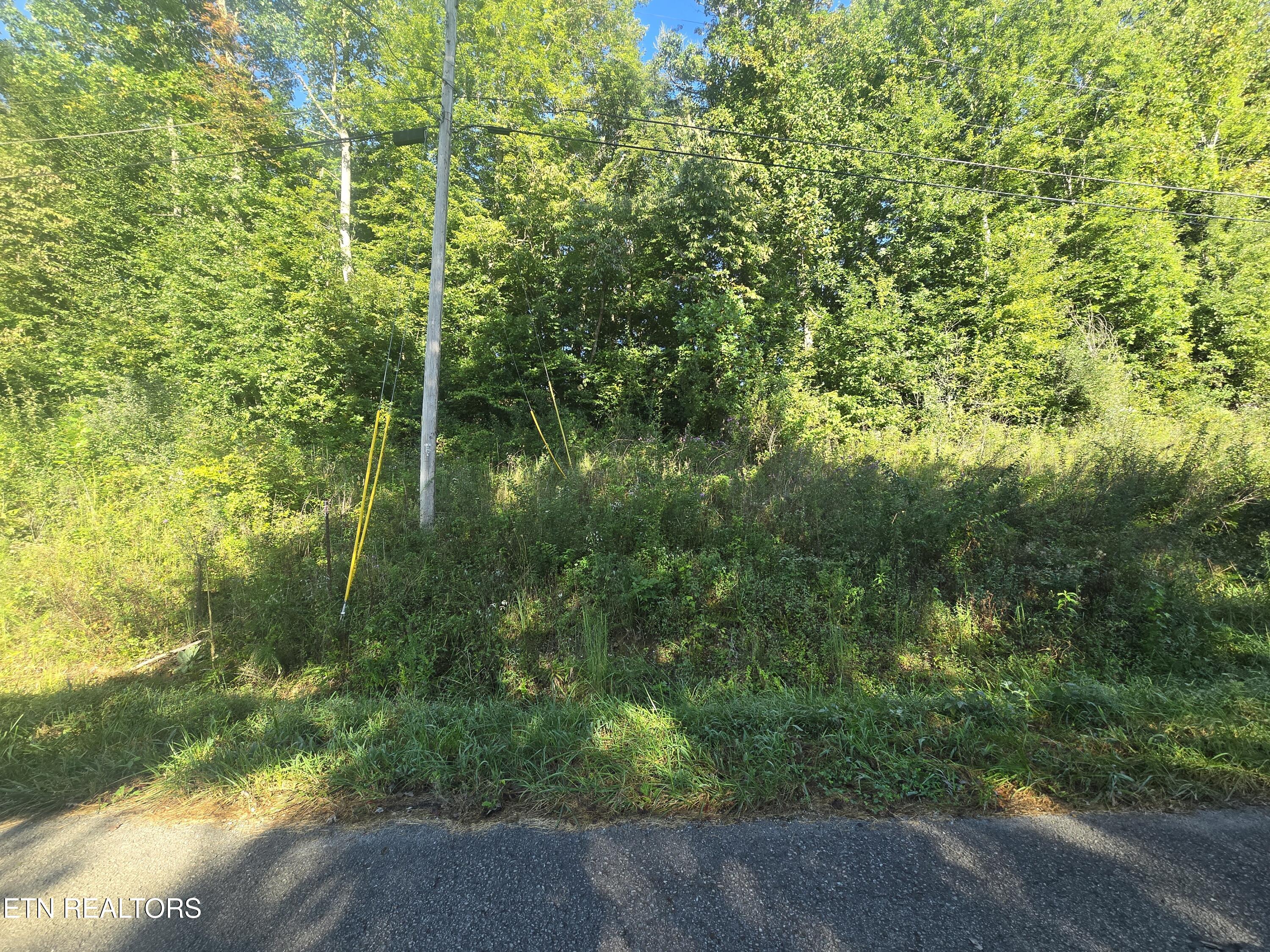 Lot 27-28 Summit Drive Oneida, TN 37841 - Photo 3 of 7 20250908_093128