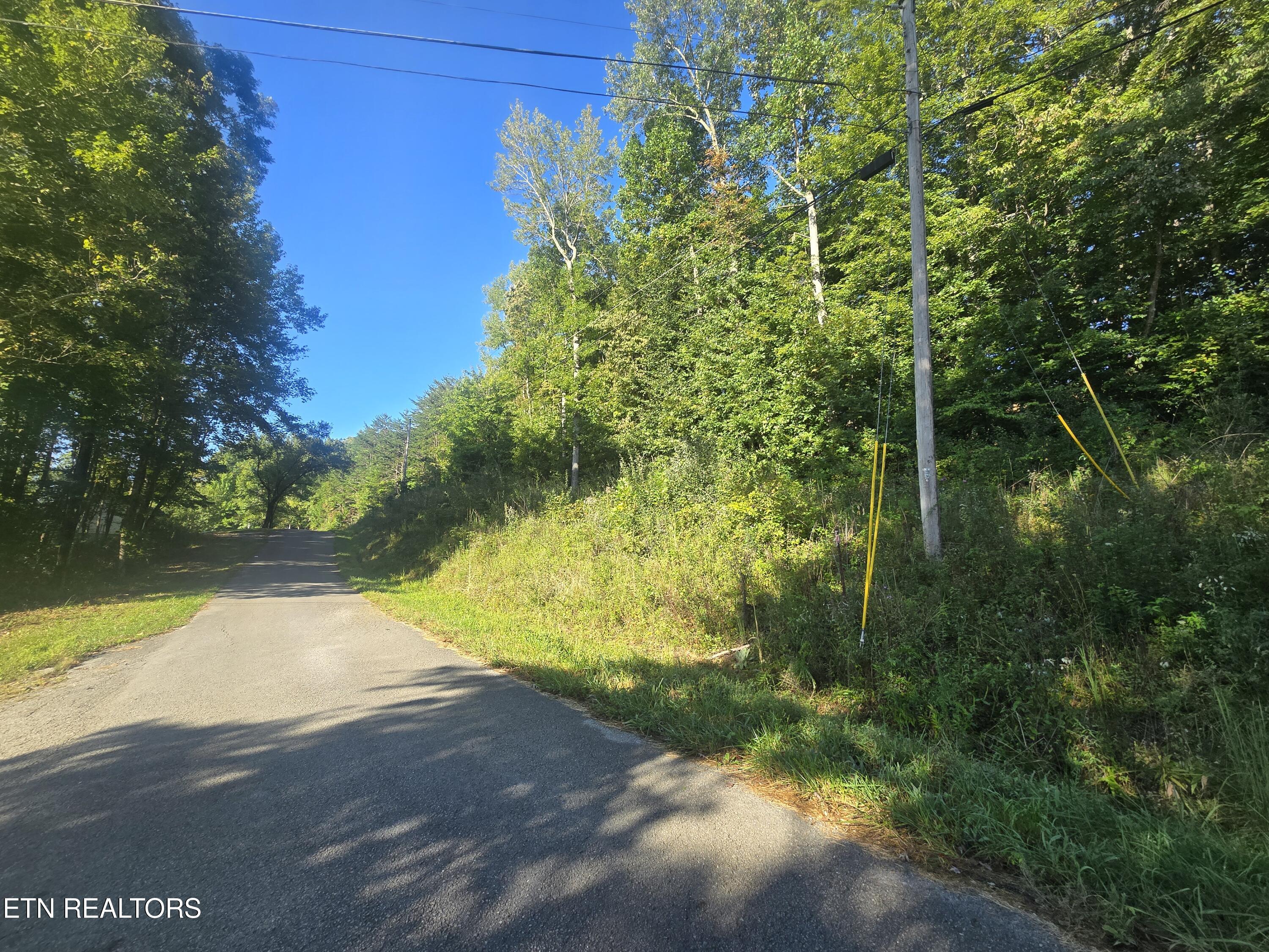 Lot 27-28 Summit Drive Oneida, TN 37841 - Photo 4 of 7 20250908_093124