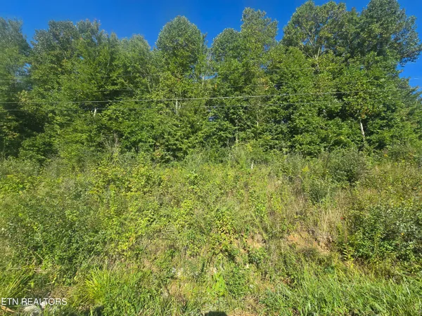 $18,000 | Lot 27-28 Summit Drive, Oneida, TN 37841