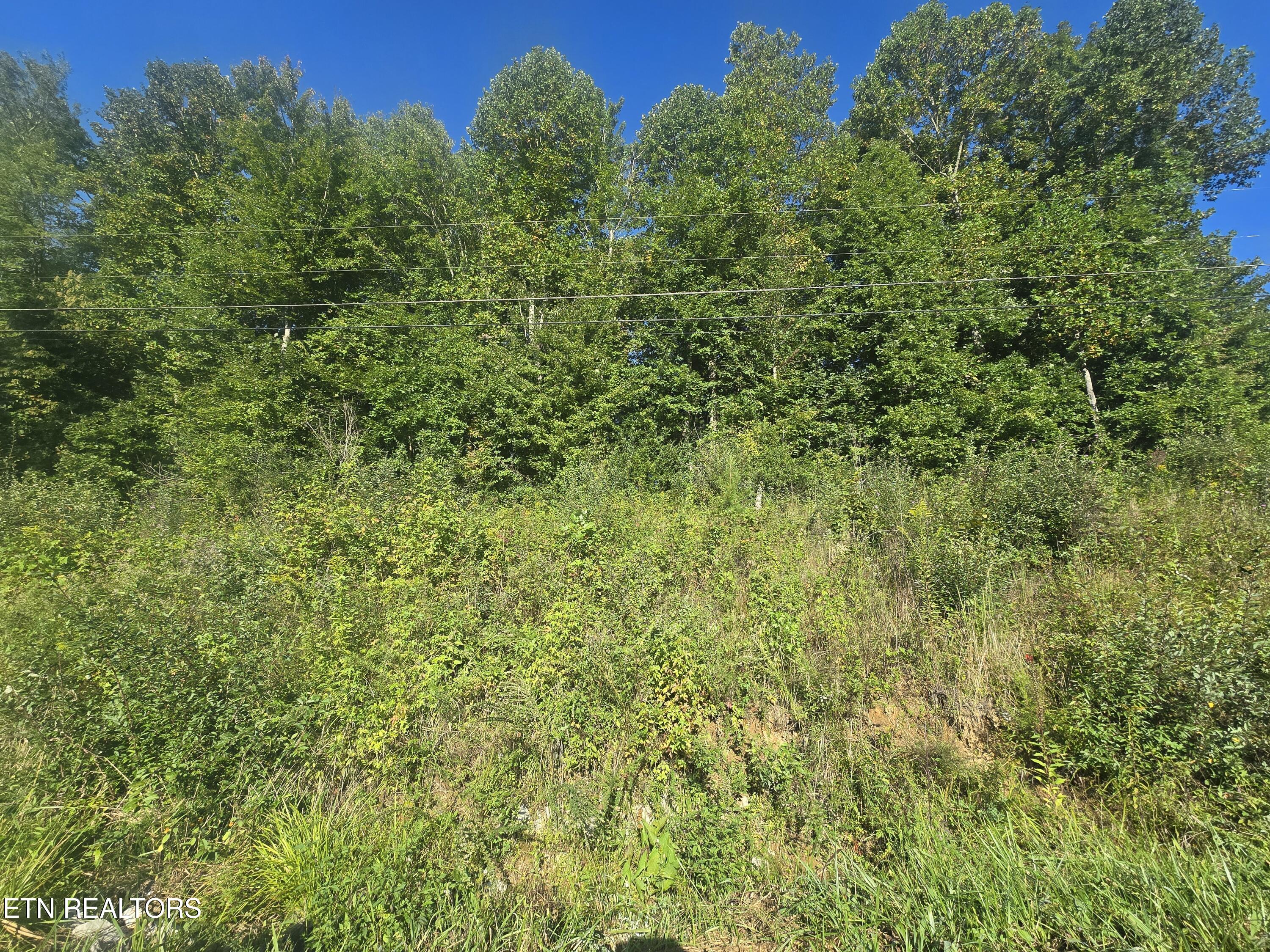 Lot 27-28 Summit Drive Oneida, TN 37841 - Photo 5 of 7 20250908_092900
