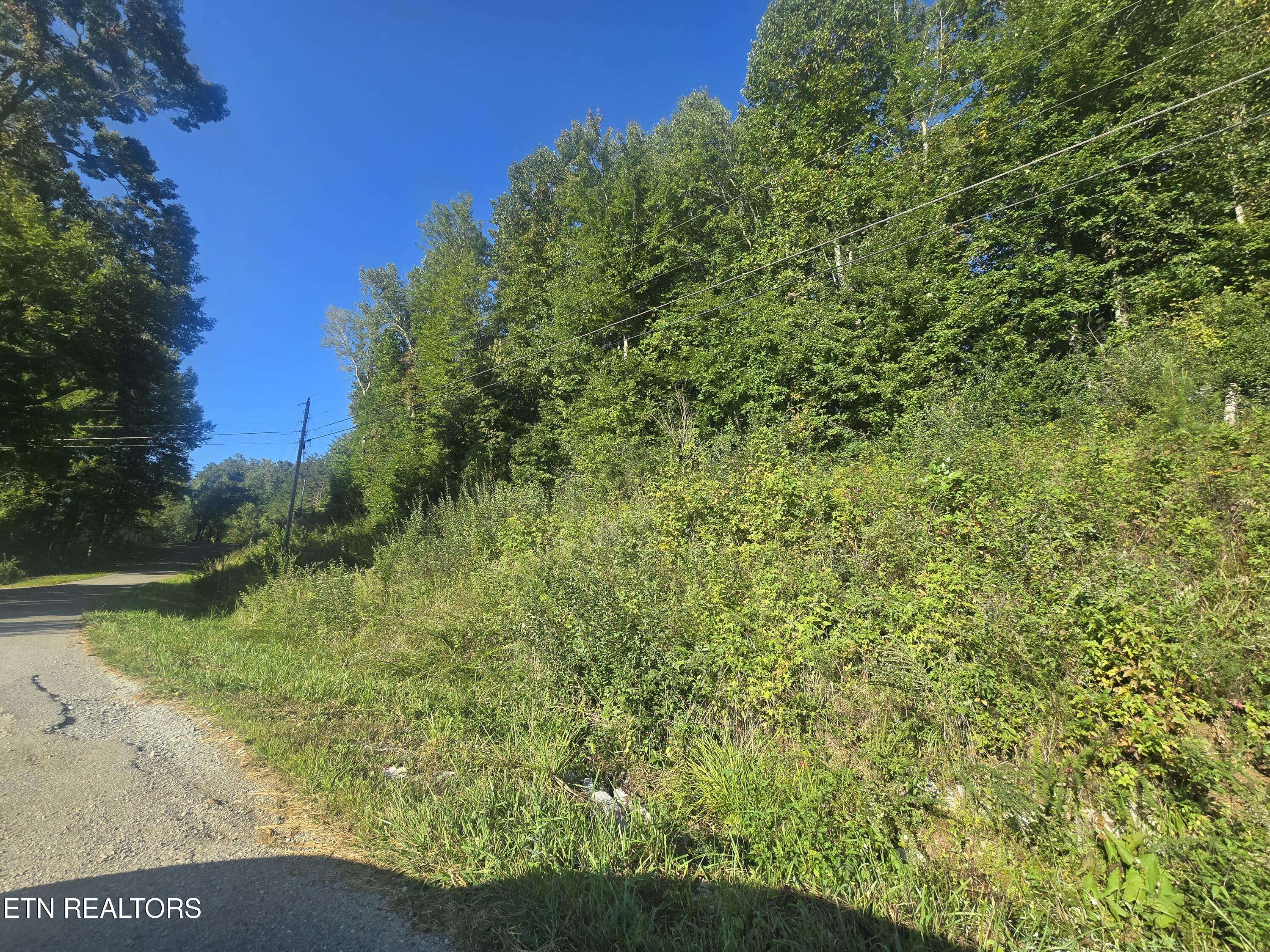 Lot 27-28 Summit Drive Oneida, TN 37841 - Photo 6 of 7 20250908_092856