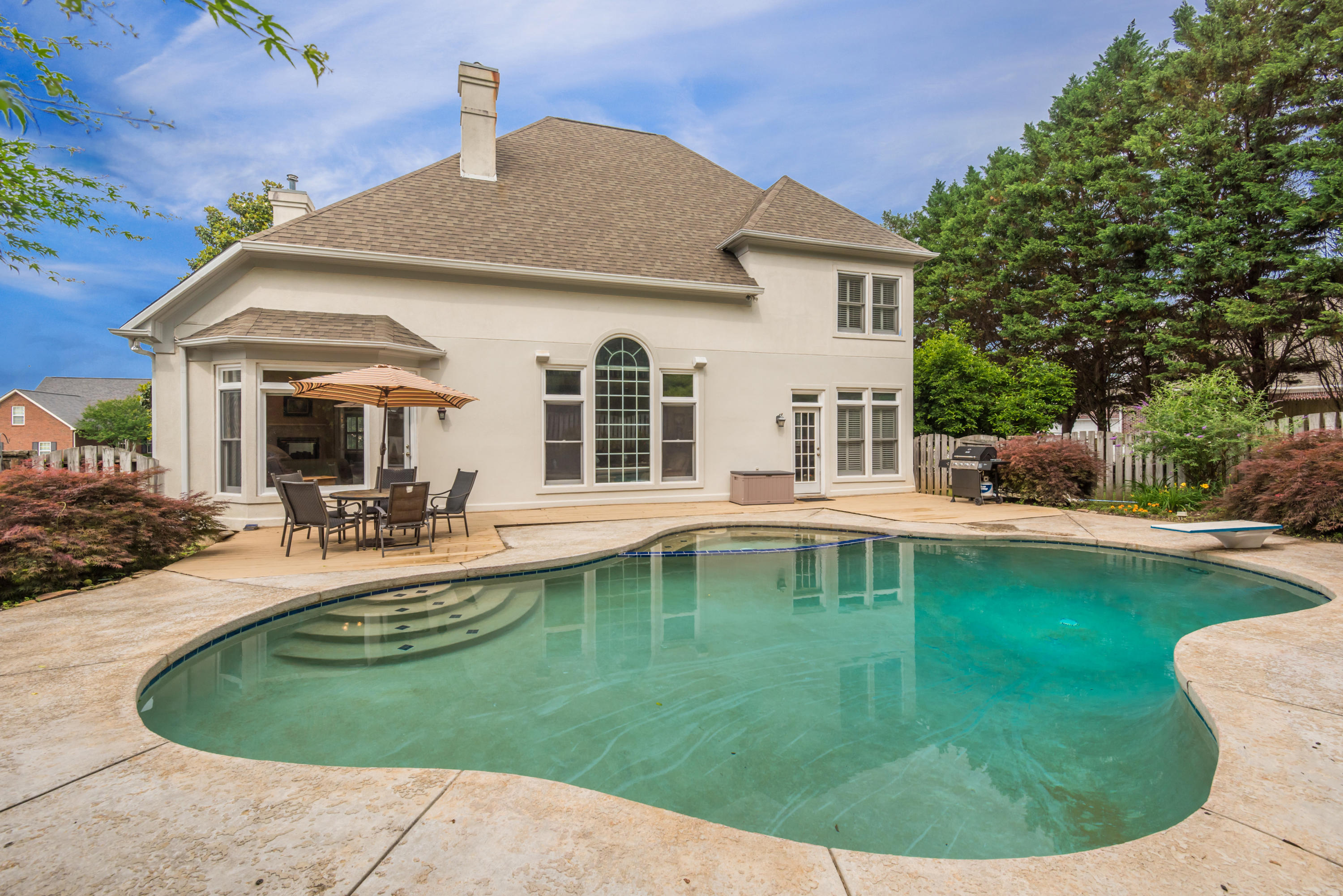 313 Shadowfax Road Knoxville, TN 37934 - Photo 3 of 37 BEAUTIFUL FREE FORM POOL