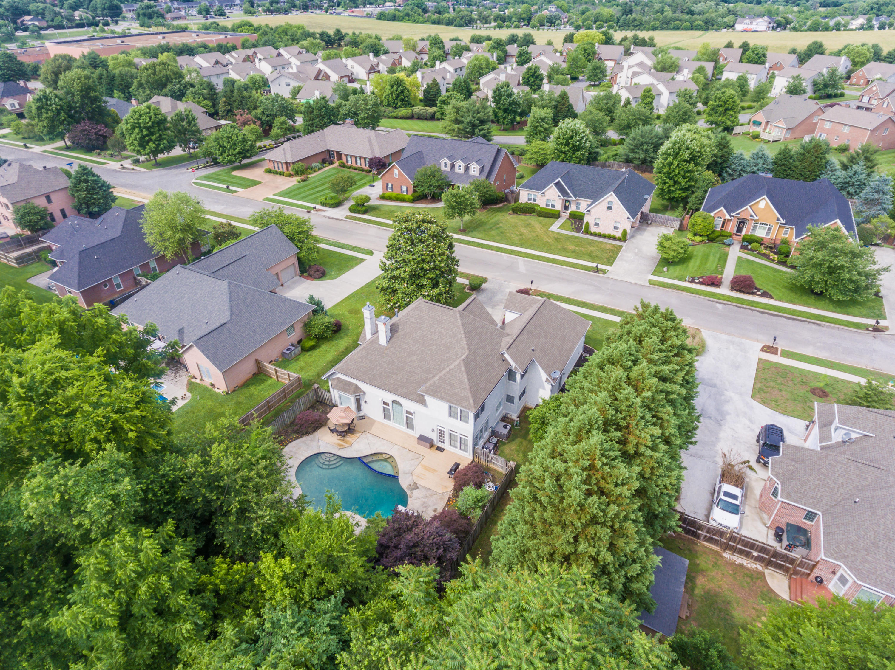 313 Shadowfax Road Knoxville, TN 37934 - Photo 35 of 37 BACK VIEW