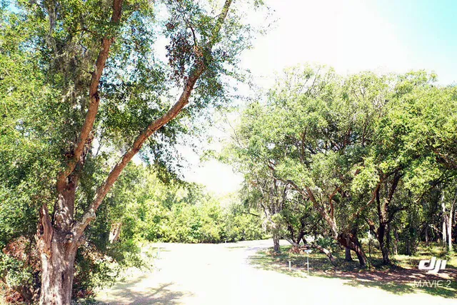 $168,500 | 61 Osprey Lane, Edisto Island, SC 29438