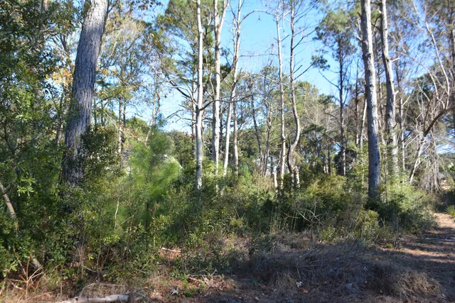 $168,500 | 61 Osprey Lane, Edisto Island, SC 29438