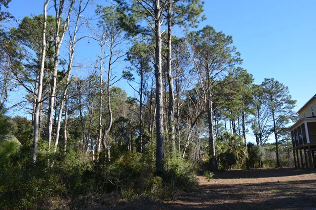 $168,500 | 61 Osprey Lane, Edisto Island, SC 29438