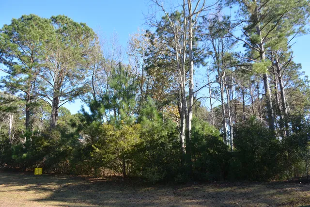$168,500 | 61 Osprey Lane, Edisto Island, SC 29438
