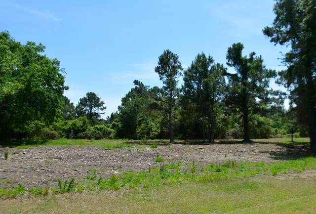 $168,500 | 61 Osprey Lane, Edisto Island, SC 29438