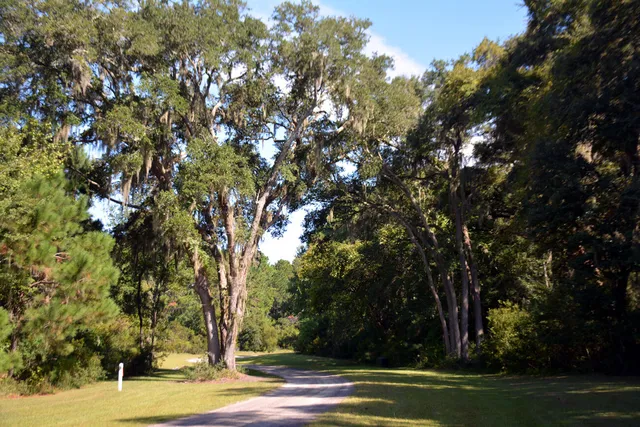 $168,500 | 61 Osprey Lane, Edisto Island, SC 29438