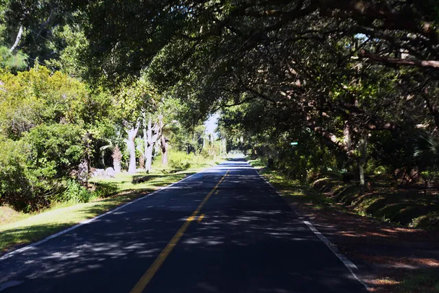 $168,500 | 61 Osprey Lane, Edisto Island, SC 29438