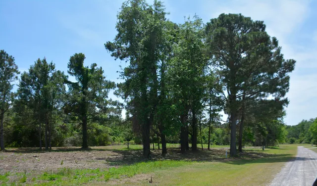 $168,500 | 61 Osprey Lane, Edisto Island, SC 29438