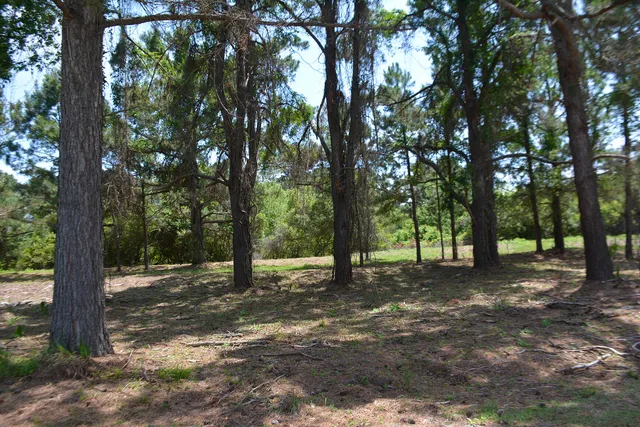 $168,500 | 61 Osprey Lane, Edisto Island, SC 29438