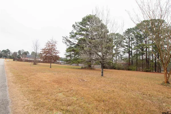 a view of empty with large trees