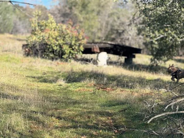 $77,700 | 0 Indian School Road, Brownsville, CA 95919