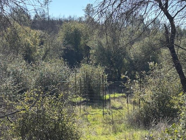 0 Indian School Road Brownsville, CA 95919 - Photo 15 of 24