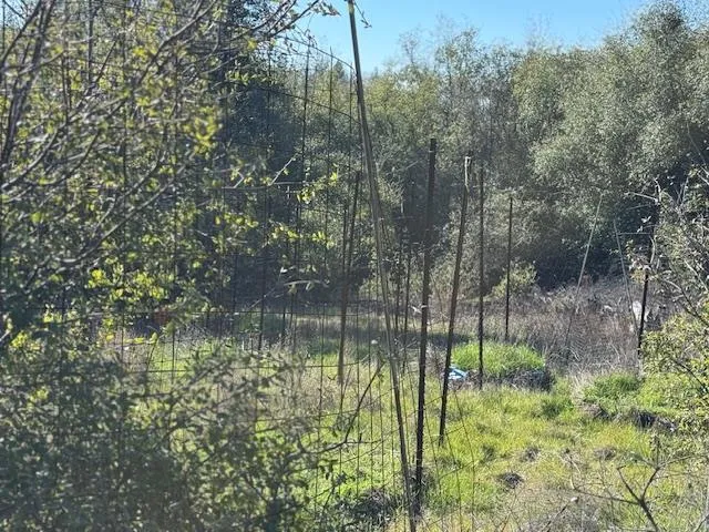 $77,700 | 0 Indian School Road, Brownsville, CA 95919