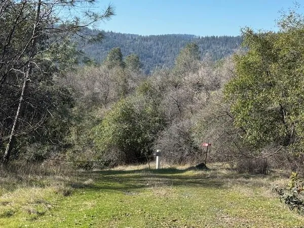 a view of a back yard of the house