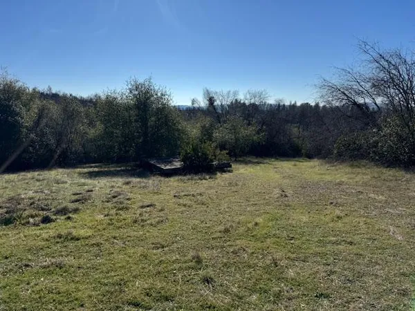 a view of outdoor space and yard