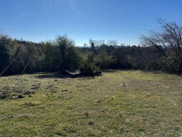 0 Indian School Road Brownsville, CA 95919 - Photo 5 of 24